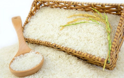 Giá lúa gạo hôm nay ngày 21/11: Giá gạo quay đầu giảm